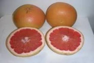 914 Pummelo Grapefruit Hybrid Evaluation for Fresh Market Production in North Florida