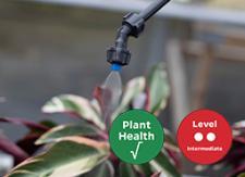 Practical Disease Management