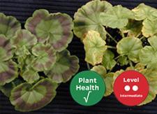 Nutrient Management 1