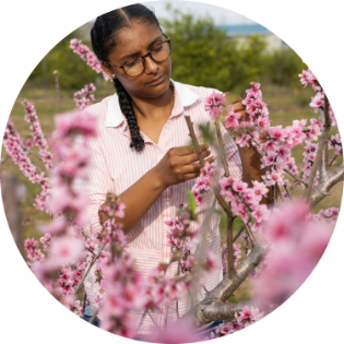 Girl in the field checking plant