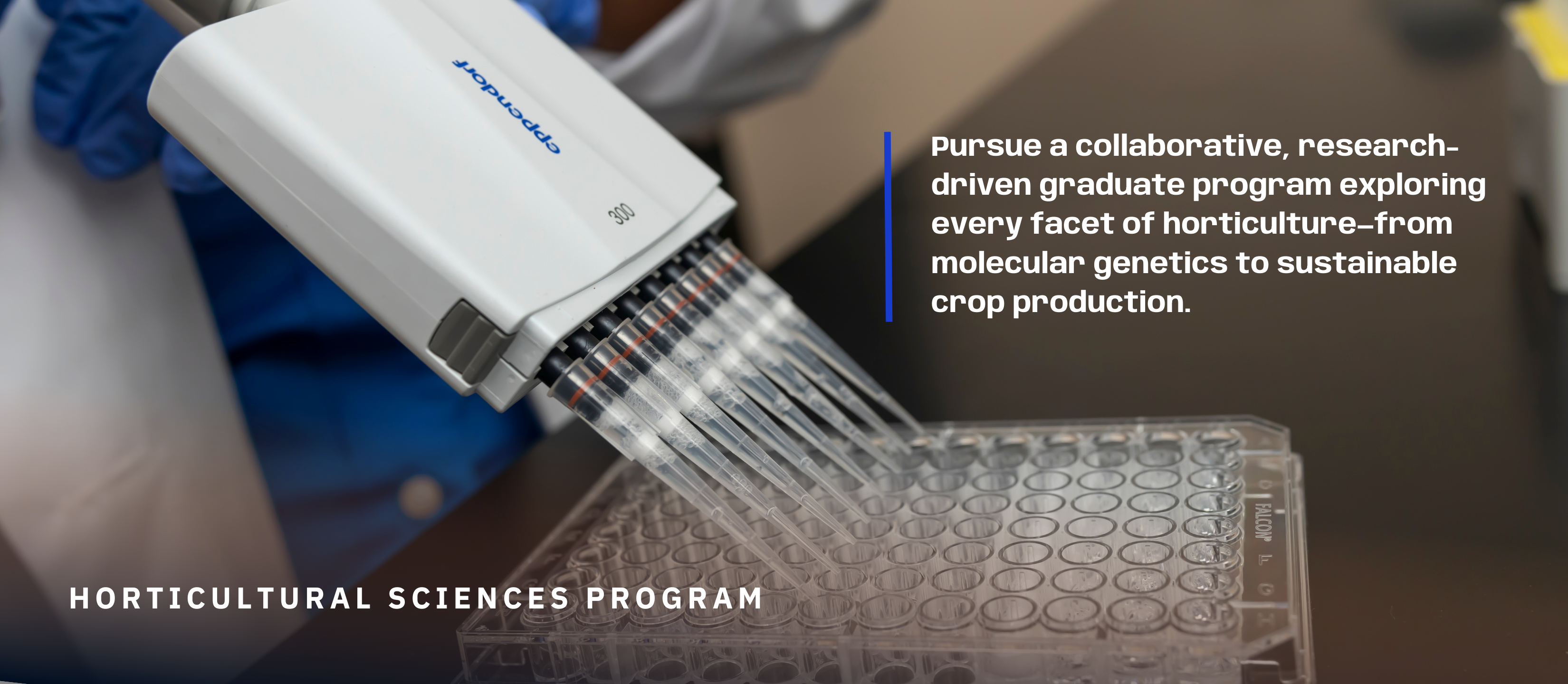 scientist using pipet in the lab