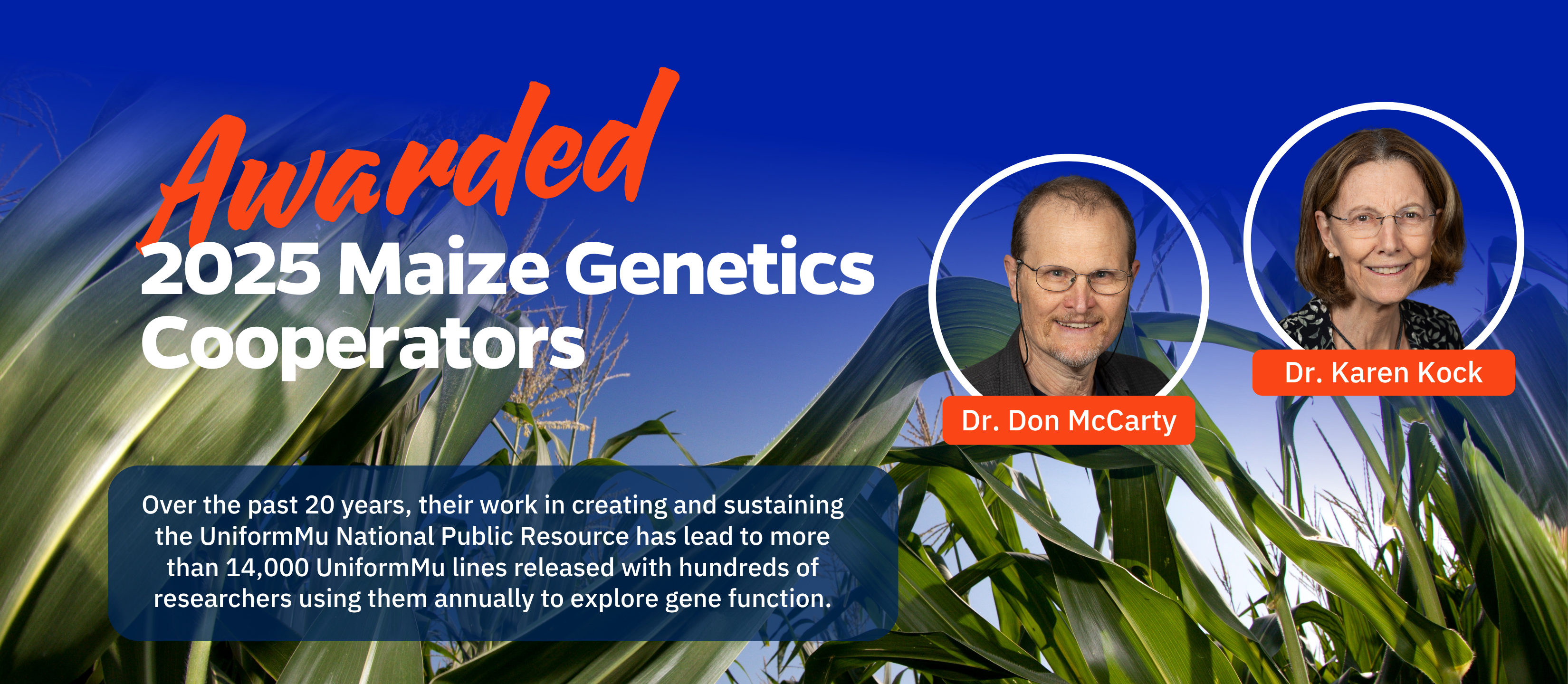 Highlight 2025 Maize Genetics Award