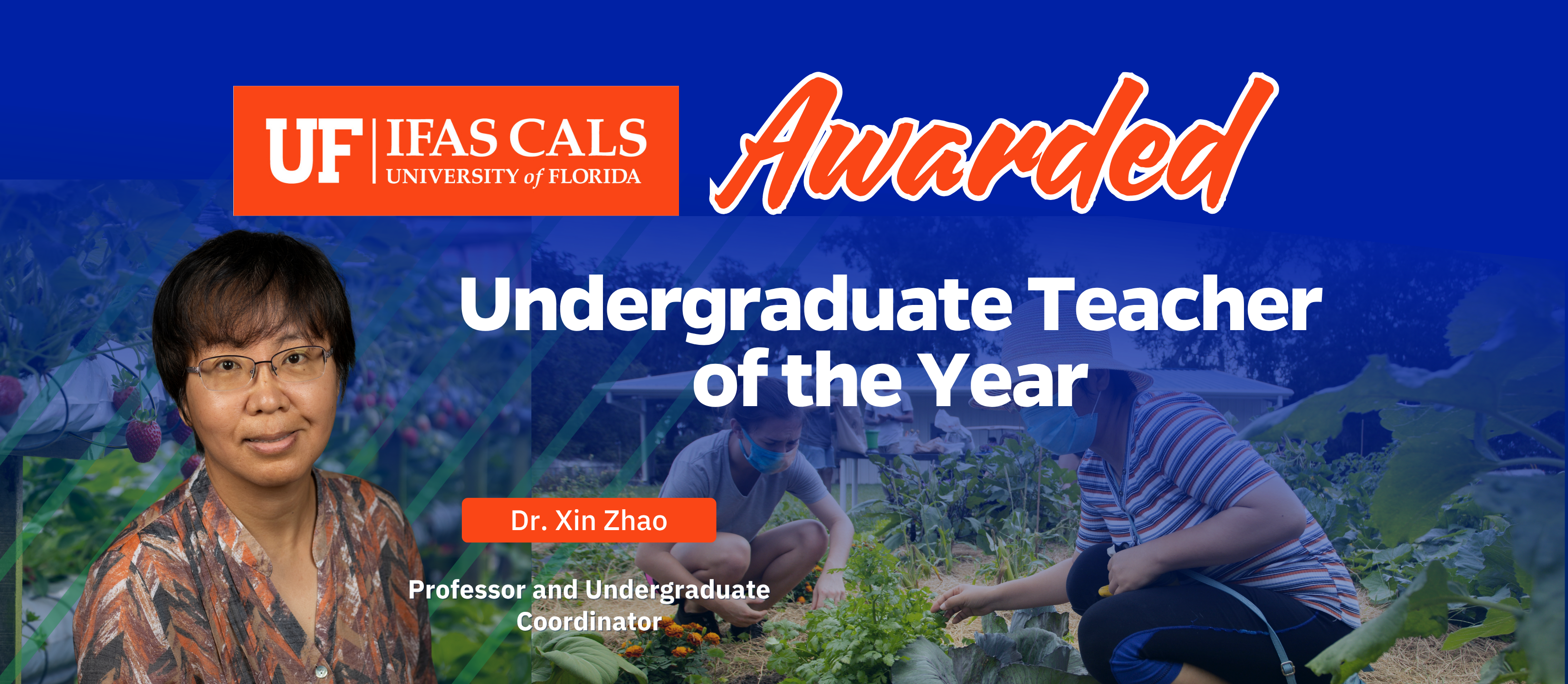 Highlight 2025 Undergraduate Teacher of the year award to Dr. Zhao