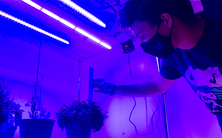  Nadakuduti Lab member, Blake Costine, UF/IFAS photo by Alex J. Lopez