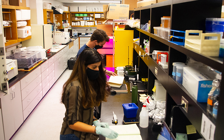 Nadakuduti Lab, UF/IFAS photo by Alex J. Lopez