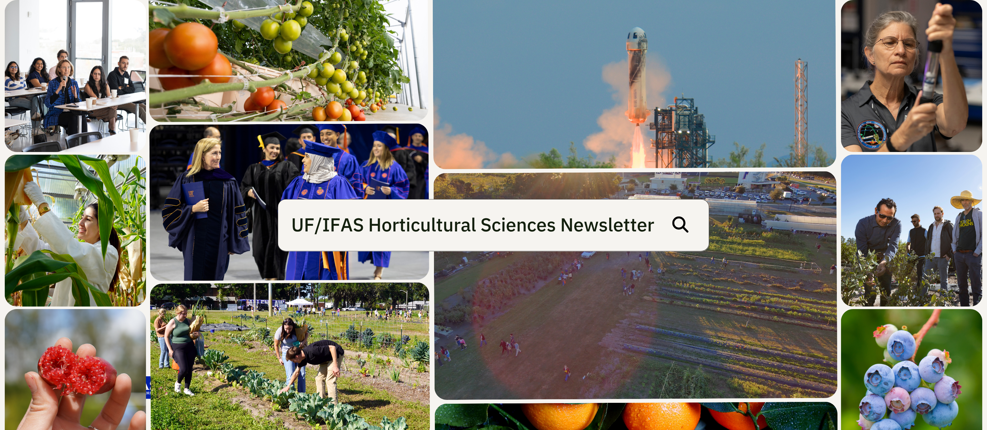 HOS newsletter page banner