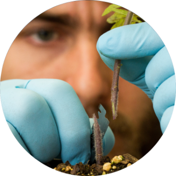 Scientist working in lab