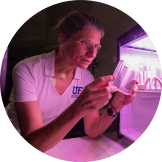 Plant Molecular, Physiology