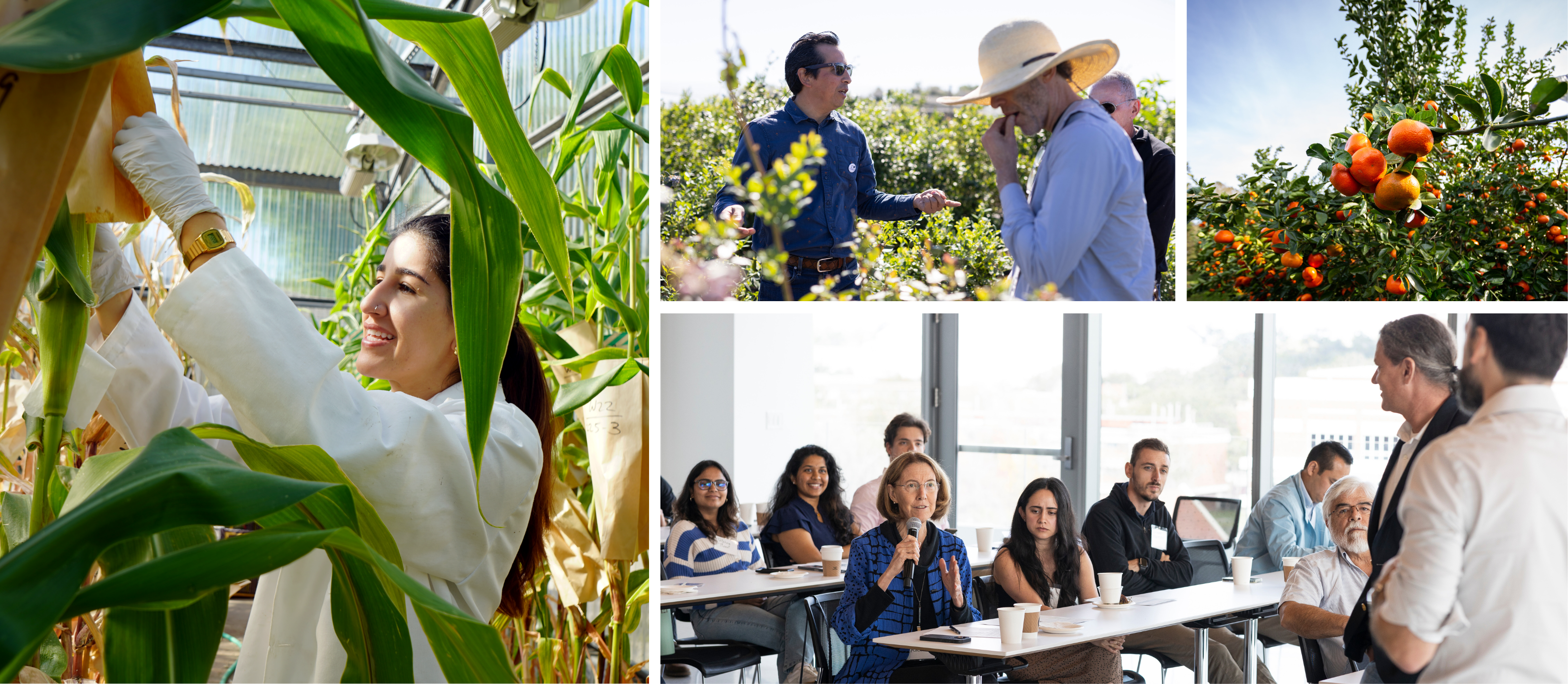 Student and Professors working in field