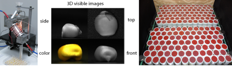 skNIR machine, sample image from the machine of a corn kernel, image of 168 cells for VIGOR
