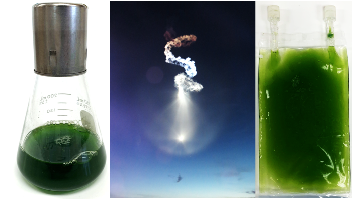 Photo of green algae in flask, Chem trail from SpaceX launch, Photo of algae in bags
