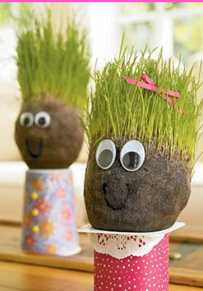 Grass Seed Heads, Photo by Worcester Central Kids Calendar.com, Todaysfabulousfinds.com,