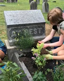 People planting a garden on a grave. Photo by S. Sterling
