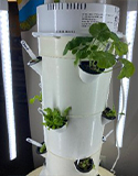 Hydroponic Gardening.Planting Seedlings