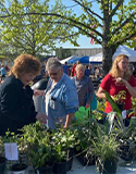 Military Spouse Garden Club, Photo by Fort Scott Biz