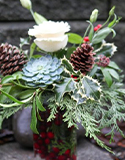 Scents of Nature at Christmas. Photo by Garden Therapy