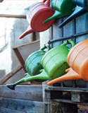 Watering Cans