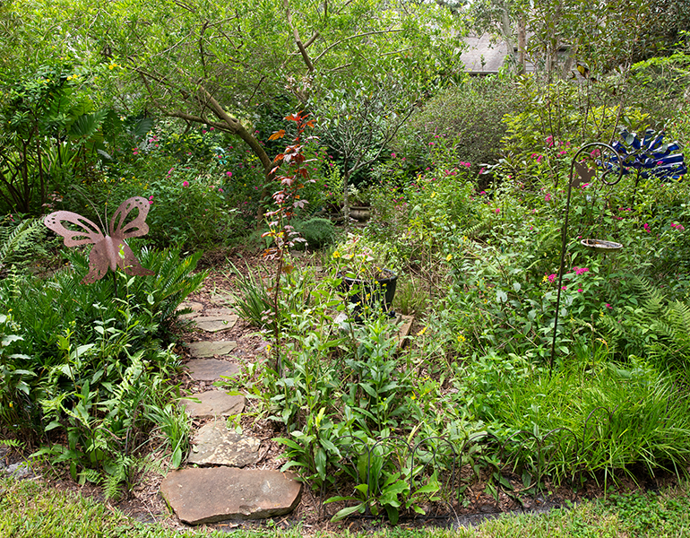 Garden. UF/IFAS Photo by Cat Wofford