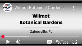 Wilmot Botanical Gardens - WUFT's Greater Good