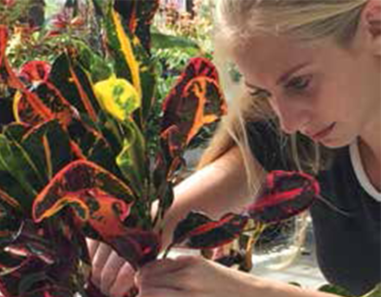 horticultural therapy for the mind and body