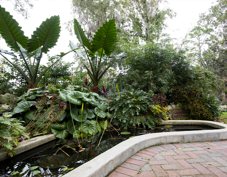 Wilmot Gardens. UF/IFAS Photo by Tyler Jones
