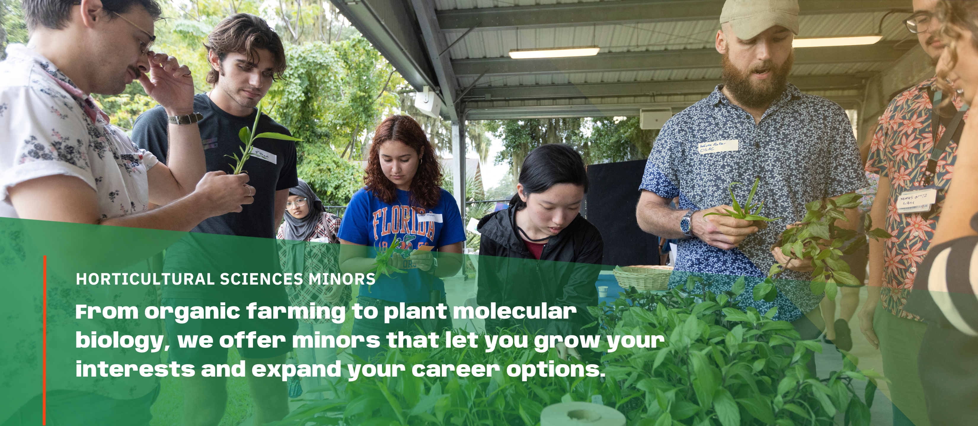 Header for minor's option page