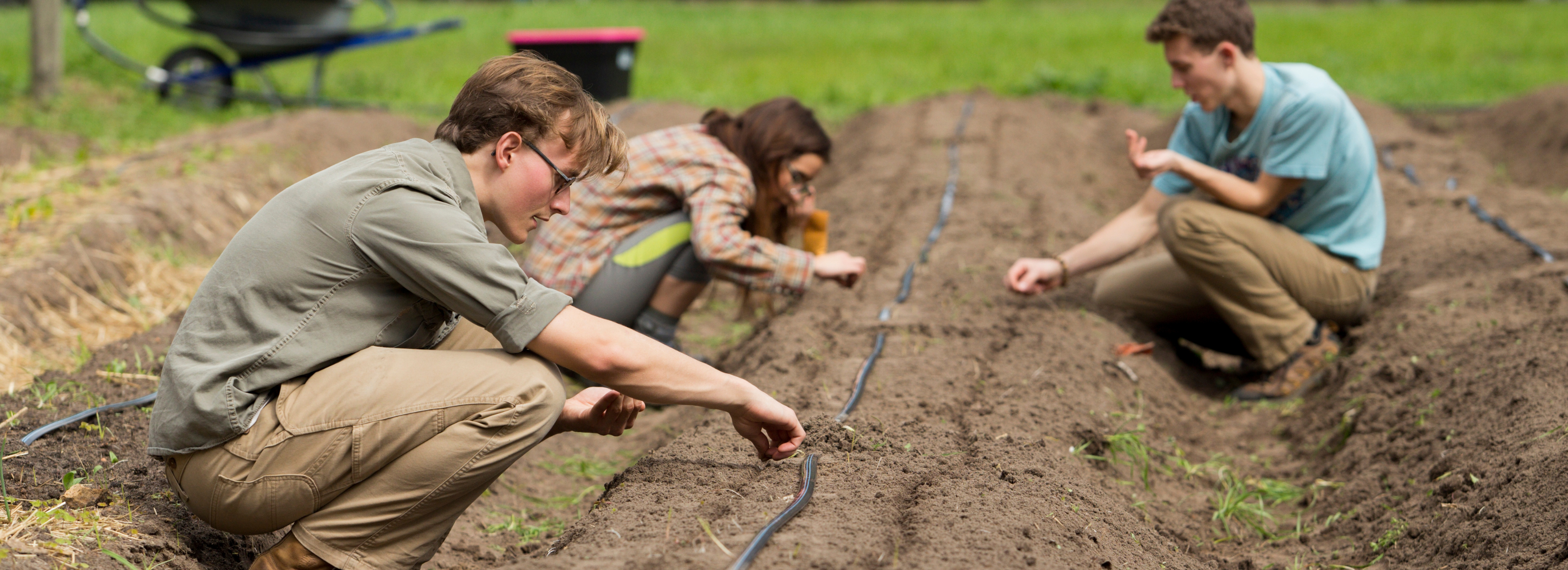 Minor page graphic - students working in the field