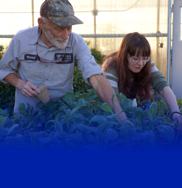 Program Overview image - couple of people working on plant